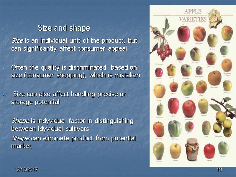 Size and shape Size is an individual unit of the product, but can significantly